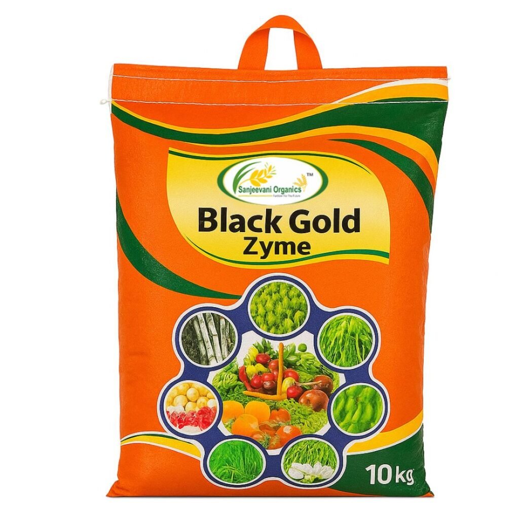 Black-Gold-Zyme-Ba