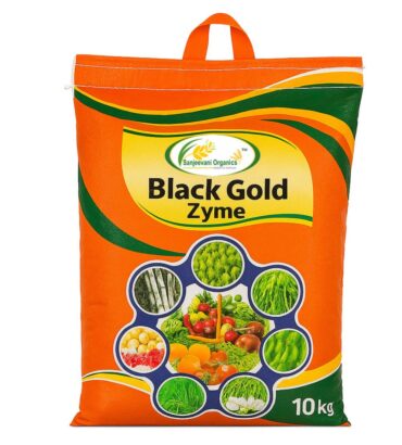 Black-Gold-Zyme-Ba