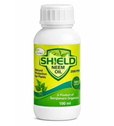Shiled100ml