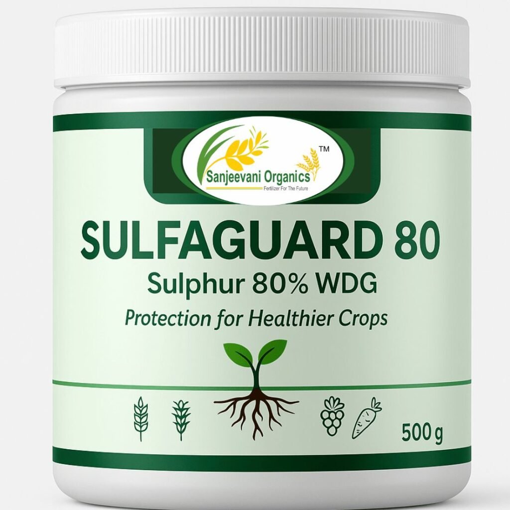 Sanjeevani Sulfa-guard 80% powder