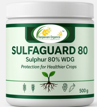 Sanjeevani Sulfa-guard 80% powder