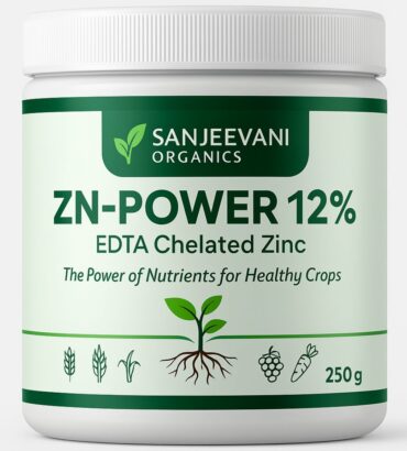 Sanjeevani Zn-Power 12% powder