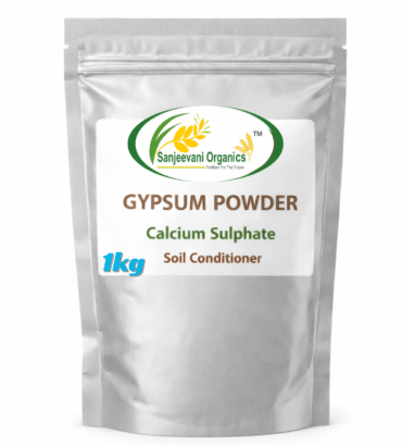 Sanjeevani Gypsum Powder