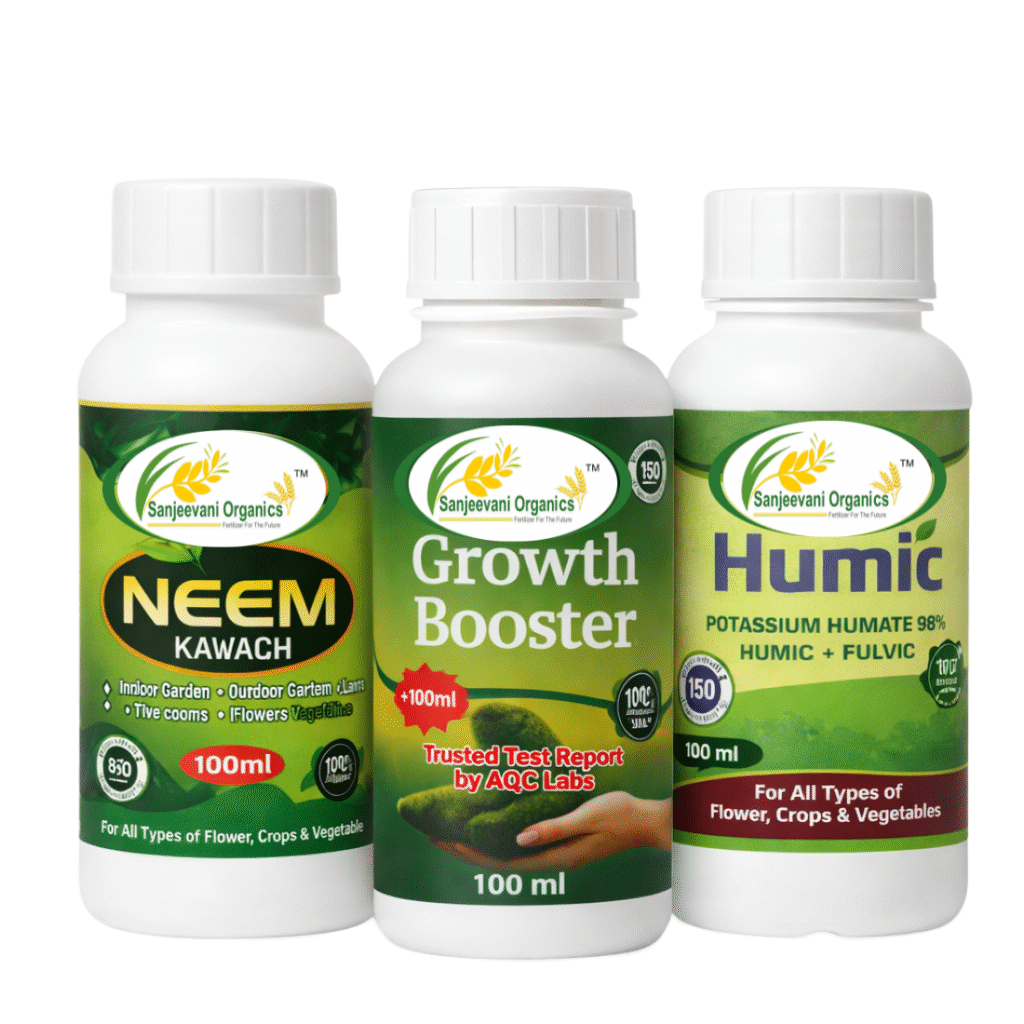 Sanjeevani Combo