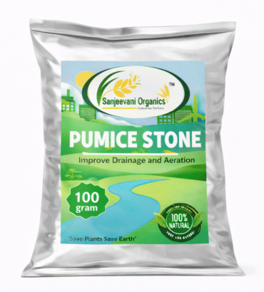 Sanjeevani_pumiceStone_100