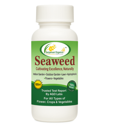 sanjeevani_seaweed_100ml