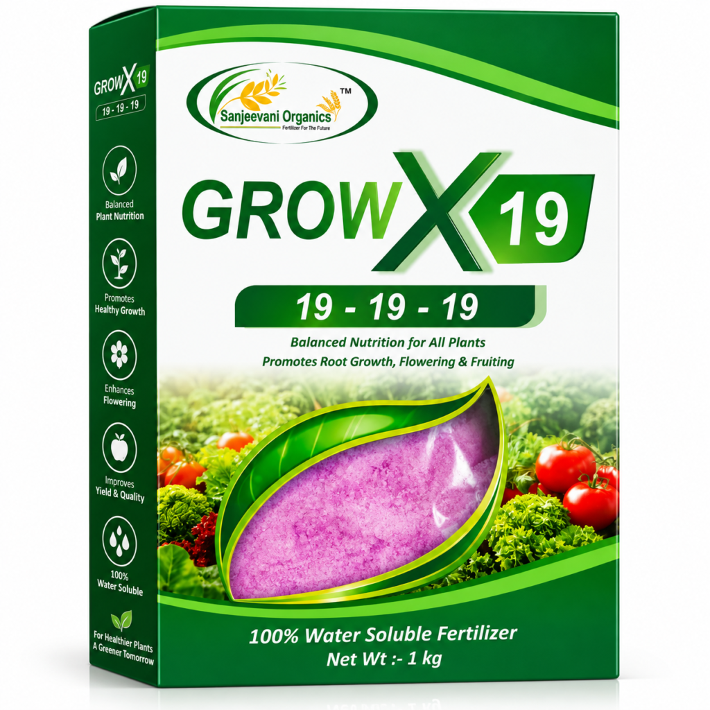 NPK19