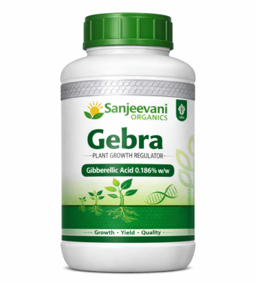 Sanjeevani Gebra 1.086% Gibrellic Acid