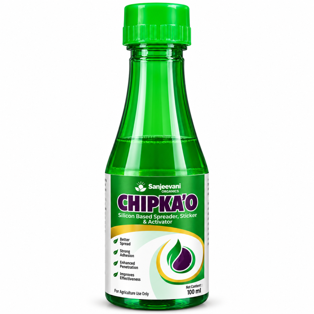 CHIPKAO100