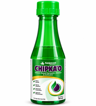 CHIPKAO100