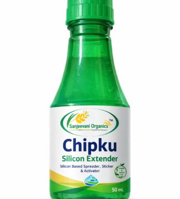 Chipkao