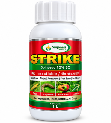 Strike