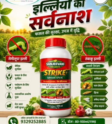 Sanjeevani SpinoSad 12% SC